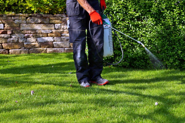 Best Pest Control for Multi-Family Homes  in Frisco, TX